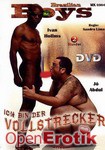 Ich bin der Vollstrecker (DMV - Brazilian Boys)