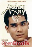 Asian Gay (Sexystore)