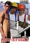 Demolition Boys - Fucking Raw (Hammer Entertainment)