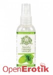 Touche Ice Lubricant Mint 80 ml (Touche)
