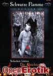 Siebzehnte Lektion Die Abrichtung (Inflagranti - Schwarze Flamme 17)