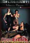 Silverline 5:  Konsequente Demut (Inflagranti - Schwarze Flamme 5)