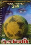 Volltreffer 2006 (Sonstige Hersteller)