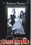 Die Nachhilfe (Inflagranti - Schwarze Flamme 25)