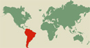 Latino