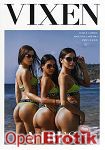 Vibes Vol. 4 (Jules Jordan Video - Vixen) Vibes Vol. 4 (Jules Jordan Video - Vixen)