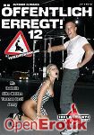 ffentlich erregt! Teil 12 (Inflagranti)