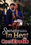 Secretaries in Heat - over 2 Hours (New Sensations)