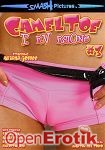 Cameltoe Perversions 3 (Smash Pictures)