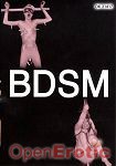 BDSM (Horny Heaven)