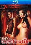 Way of the Dragon (Digital Playground - Blu-ray Disc)