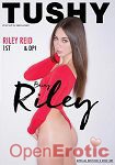Being Riley - Special Edition 2 Disc Set (Jules Jordan Video - Tushy)