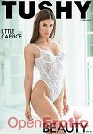 Anal Beauty Vol. 10 (Jules Jordan Video - Tushy)