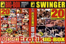 Big-Box - Swinger - 20 Stunden - 4 DVDs 