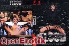 Flood 