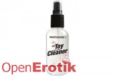Brand Spankin Toy Cleaner - 133ml 