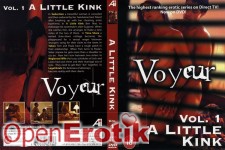 A little kink voyeur vol. 1 